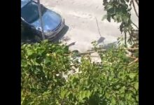 Ο δυνατός αέρας έσπασε κλαδί δέντρου στο κεντρικό Χαϊδάρι 37