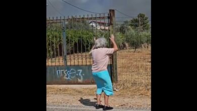 "Είναι σαν να ρίχνεις Τιτανικούς ξανά και ξανά σε παγόβουνα, ελπίζοντας κάθε φορά ότι έχεις αρκετά μπαλώματα για τα ρήγματα" 12