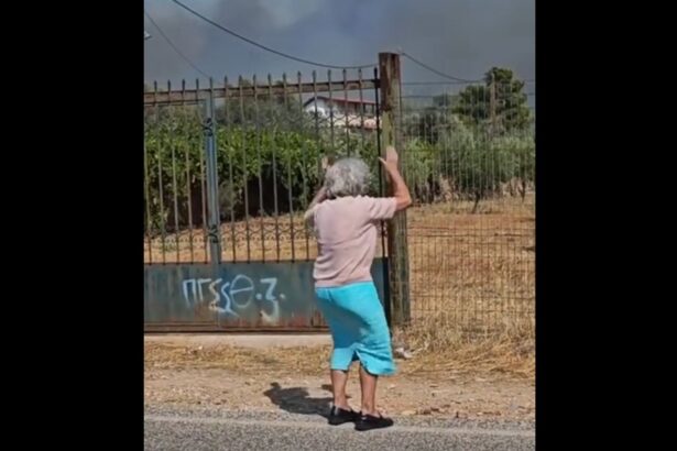"Είναι σαν να ρίχνεις Τιτανικούς ξανά και ξανά σε παγόβουνα, ελπίζοντας κάθε φορά ότι έχεις αρκετά μπαλώματα για τα ρήγματα" 51