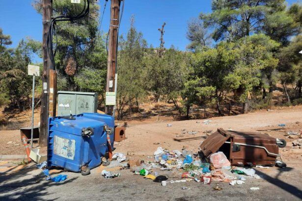 "Ζωολογικός κήπος γίναμε! Ακούει κανείς;" 45