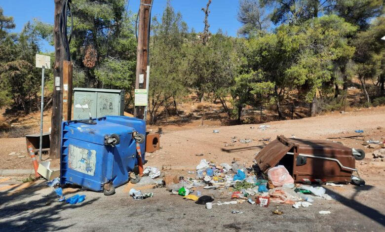 "Ζωολογικός κήπος γίναμε! Ακούει κανείς;" 2 "Ζωολογικός κήπος γίναμε! Ακούει κανείς;" 1