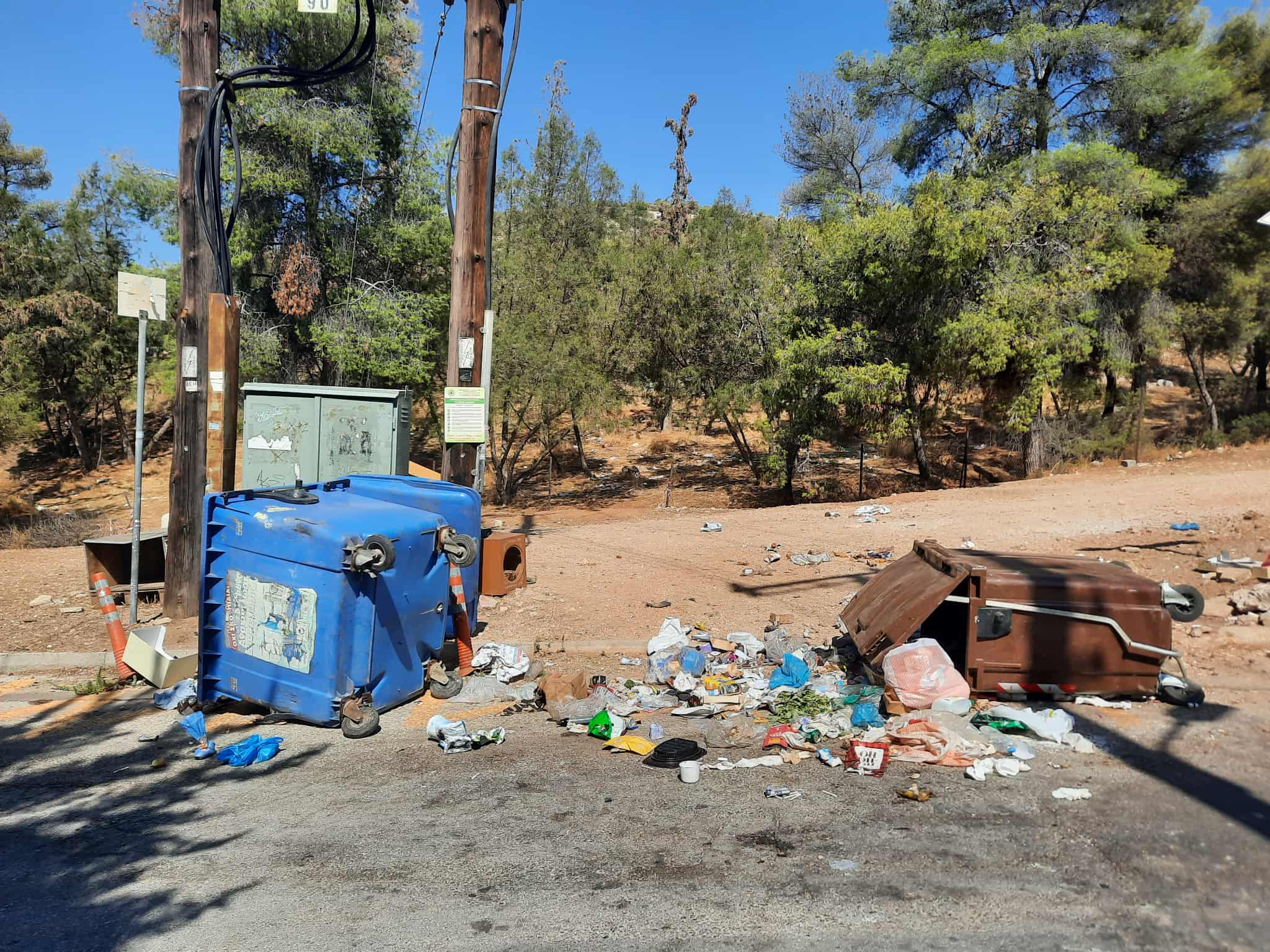 "Ζωολογικός κήπος γίναμε! Ακούει κανείς;" 4 "Ζωολογικός κήπος γίναμε! Ακούει κανείς;" 3