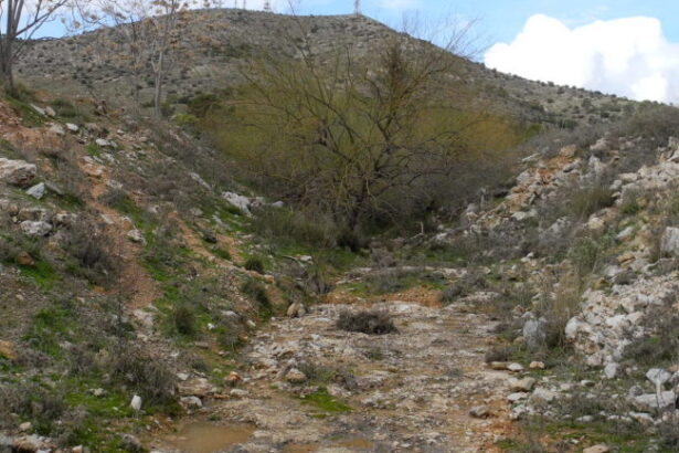 Μικρά φράγματα και λιμνοδεξαμενές στο Ποικίλο - Η πολλαπλή ωφέλειά τους για το Χαϊδάρι 3