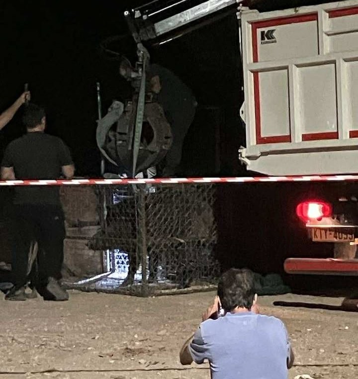 Στον Κιθαιρώνα 7 ακόμη αγριογούρουνα από το Δαφνί - Σαμποτάζ της επιχείρησης υποπτεύεται το Δασαρχείο - Φωτογραφίες και βίντεο 7
