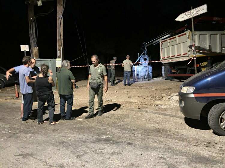 Στον Κιθαιρώνα 7 ακόμη αγριογούρουνα από το Δαφνί - Σαμποτάζ της επιχείρησης υποπτεύεται το Δασαρχείο - Φωτογραφίες και βίντεο 3