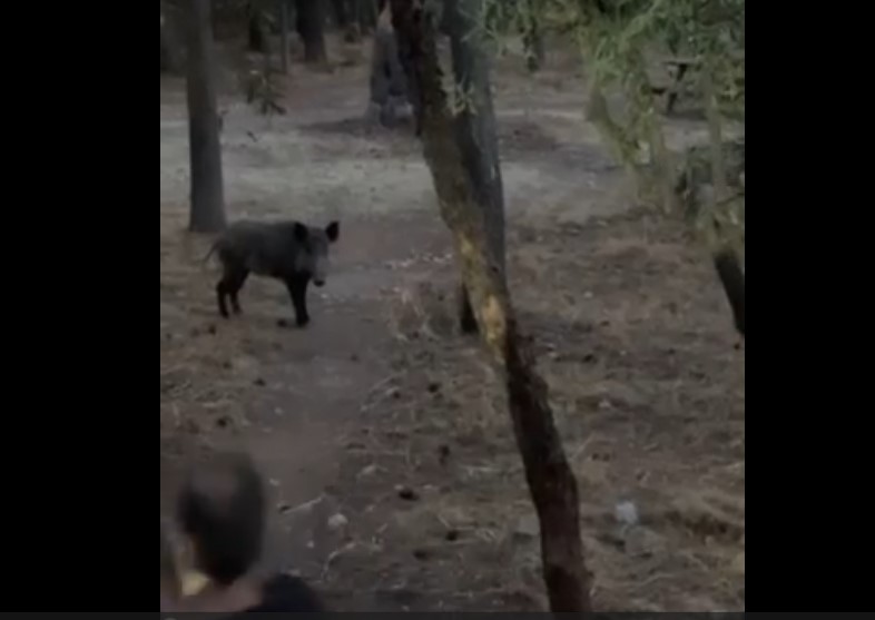 Στενές επαφές και ανησυχία 1