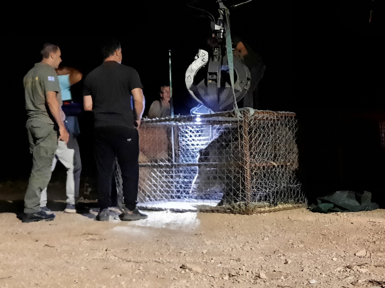 Μεγάλη επιχείρηση στο Δαφνί: Παγιδεύτηκαν δύο κάπροι - Εντυπωσιακά βίντεο και φωτογραφίες - "Καλή τύχη στους δυο μάγκες!" 4 Μεγάλη επιχείρηση στο Δαφνί: Παγιδεύτηκαν δύο κάπροι - Εντυπωσιακά βίντεο και φωτογραφίες - "Καλή τύχη στους δυο μάγκες!" 3