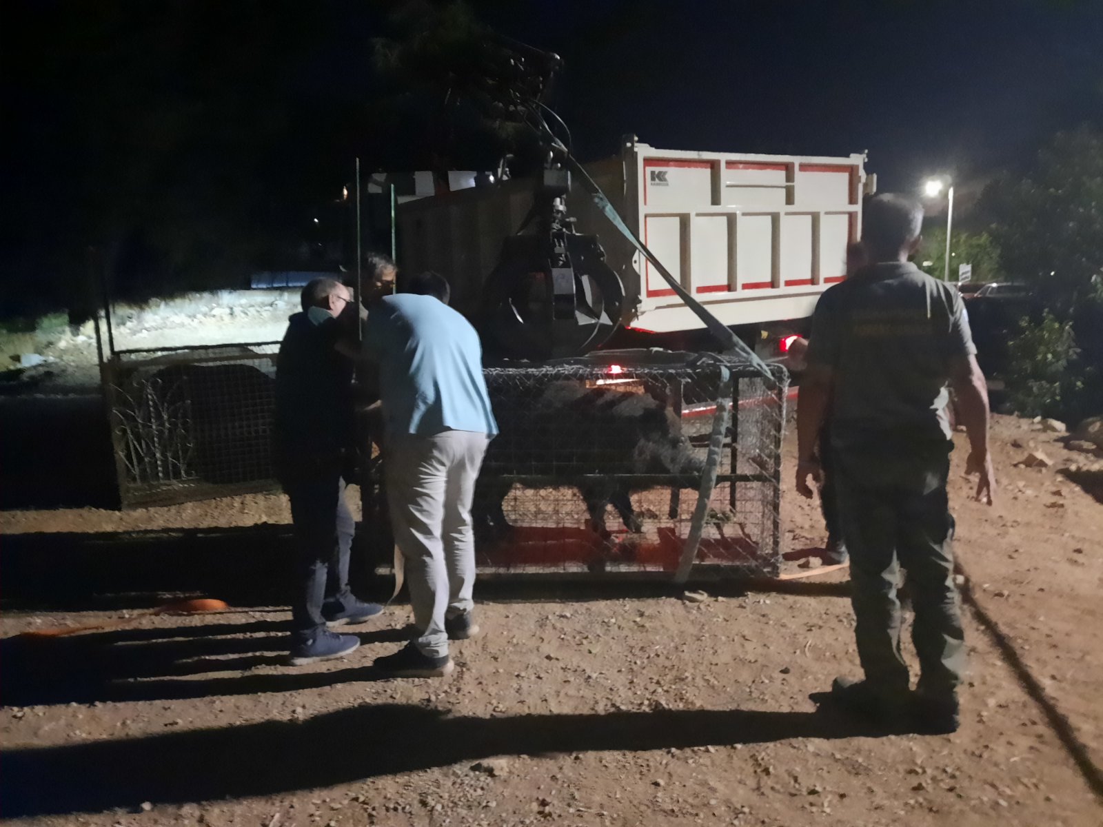 Μεγάλη επιχείρηση στο Δαφνί: Παγιδεύτηκαν δύο κάπροι - Εντυπωσιακά βίντεο και φωτογραφίες - "Καλή τύχη στους δυο μάγκες!" 8 Μεγάλη επιχείρηση στο Δαφνί: Παγιδεύτηκαν δύο κάπροι - Εντυπωσιακά βίντεο και φωτογραφίες - "Καλή τύχη στους δυο μάγκες!" 7