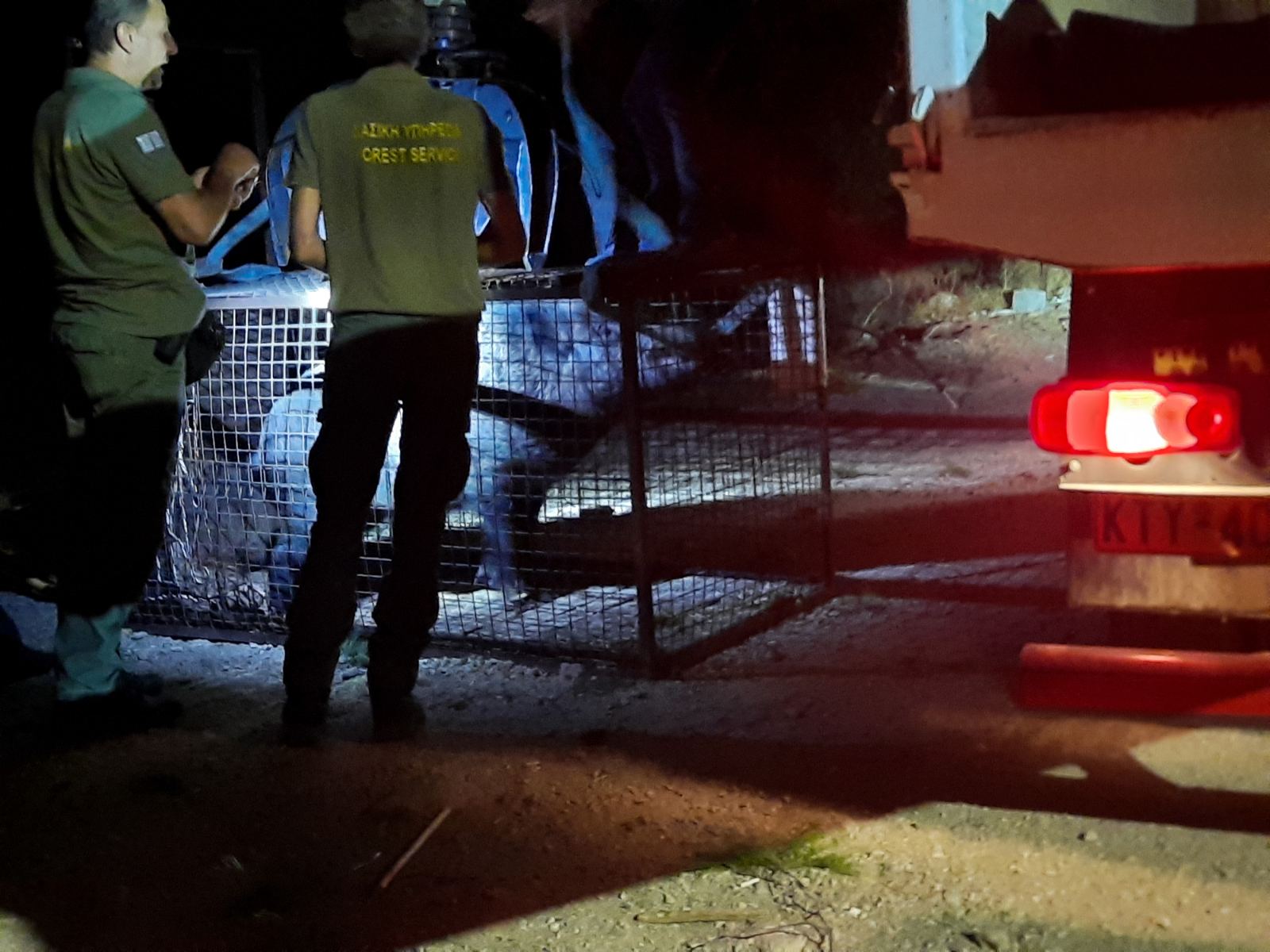 Μεγάλη επιχείρηση στο Δαφνί: Παγιδεύτηκαν δύο κάπροι - Εντυπωσιακά βίντεο και φωτογραφίες - "Καλή τύχη στους δυο μάγκες!" 6 Μεγάλη επιχείρηση στο Δαφνί: Παγιδεύτηκαν δύο κάπροι - Εντυπωσιακά βίντεο και φωτογραφίες - "Καλή τύχη στους δυο μάγκες!" 5