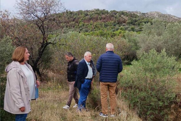 Επίσκεψη του αντιπεριφερειάρχη στο Δρομοκαΐτειο και αυτοψία στα ρέματα 3