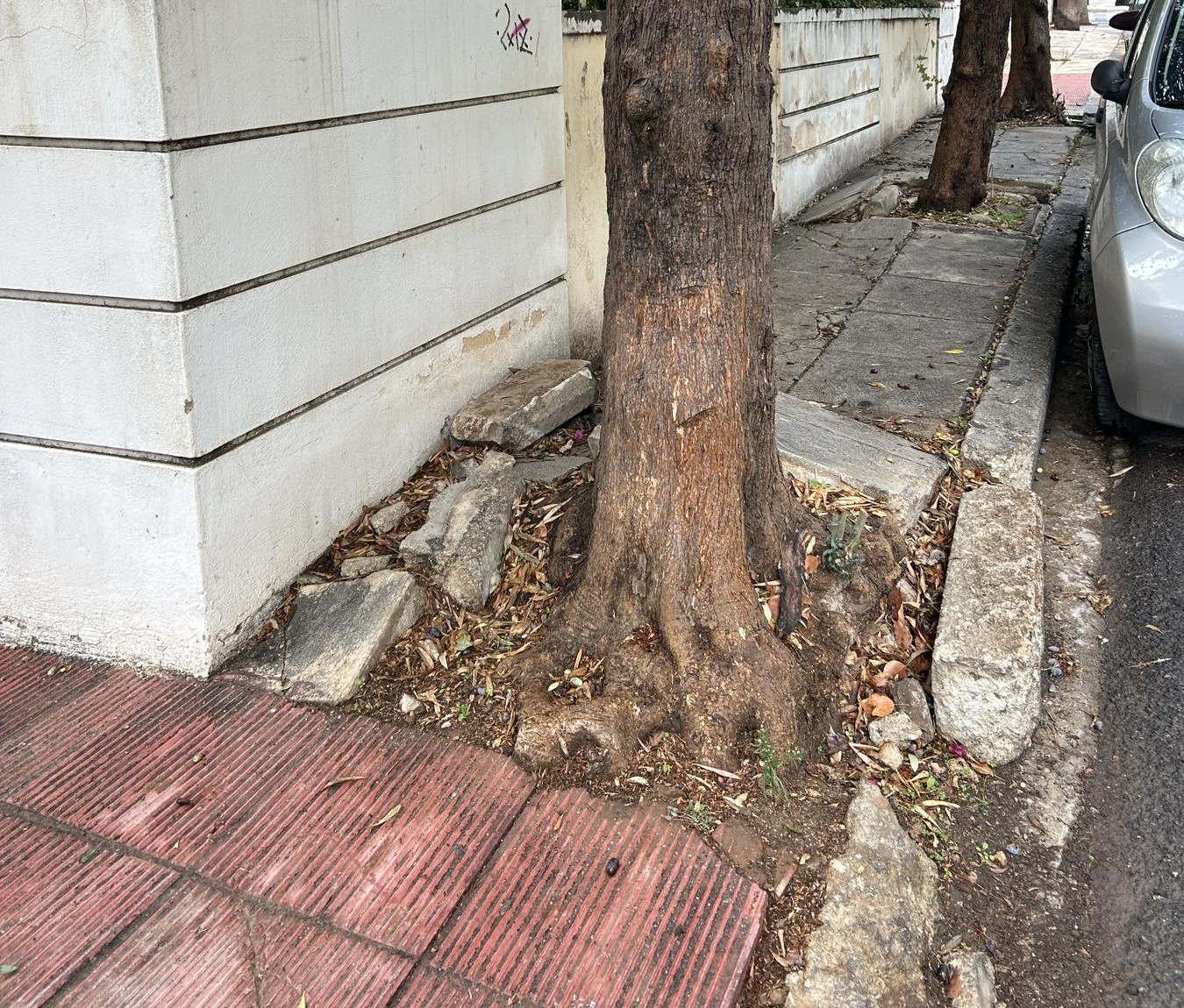 Δήμος Χαϊδαρίου και εμποδιζόμενα άτομα: Μια πολύ πολύ κακή σχέση! 7 Δήμος Χαϊδαρίου και εμποδιζόμενα άτομα: Μια πολύ πολύ κακή σχέση! 6