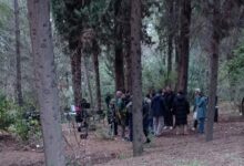 Η πολυαναμενόμενη "Μεγάλη Χίμαιρα" έχει δυνατές "δόσεις" από Χαϊδάρι 33