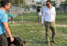 Μήνυμα για την Παγκόσμια Ημέρα των Ζώων 39