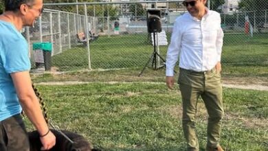 Μήνυμα για την Παγκόσμια Ημέρα των Ζώων 7