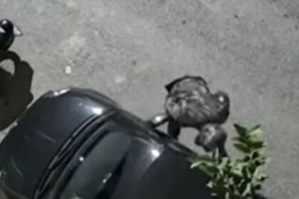 Κλοπή αυτοκινήτου σε 1,5 λεπτό - Προσοχή συνιστά η ΕΛΑΣ καθώς αυξάνονται οι κλοπές οχημάτων 8 Κλοπή αυτοκινήτου σε 1,5 λεπτό - Προσοχή συνιστά η ΕΛΑΣ καθώς αυξάνονται οι κλοπές οχημάτων 7