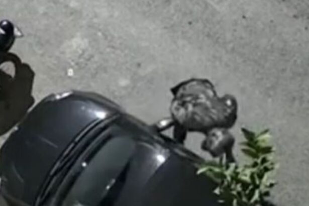 Κλοπή αυτοκινήτου σε 1,5 λεπτό - Προσοχή συνιστά η ΕΛΑΣ 21