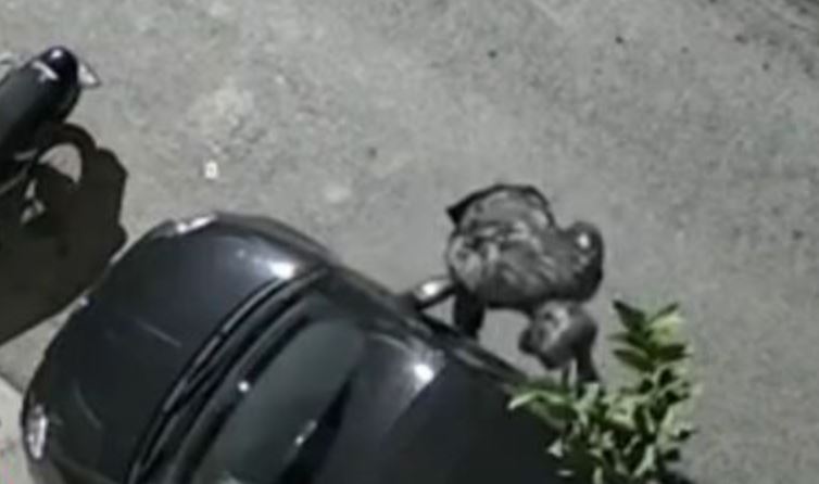 Κλοπή αυτοκινήτου σε 1,5 λεπτό - Προσοχή συνιστά η ΕΛΑΣ καθώς αυξάνονται οι κλοπές οχημάτων 2 Κλοπή αυτοκινήτου σε 1,5 λεπτό - Προσοχή συνιστά η ΕΛΑΣ καθώς αυξάνονται οι κλοπές οχημάτων 1