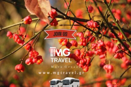 Πρόγραμμα εκδρομών Νοεμβρίου 2025 77