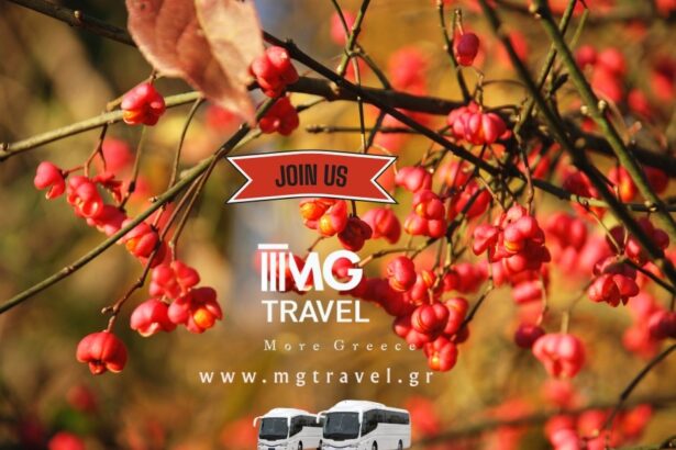 Πρόγραμμα εκδρομών Νοεμβρίου 2025 3