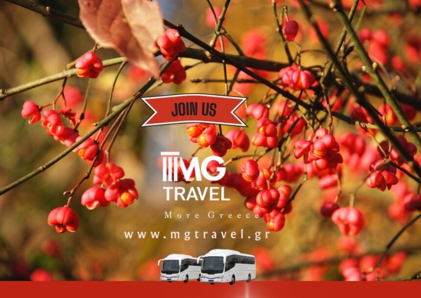 Πρόγραμμα εκδρομών Νοεμβρίου 2025 2 Πρόγραμμα εκδρομών Νοεμβρίου 2025 1