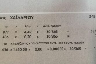 "Λοιπόν, κ. Σελέκο, είμαστε το κεφάλαιο που πρέπει να δεχτεί επίθεση;" - Τοπικές επιχειρήσεις με τη θηλιά στο λαιμό 23