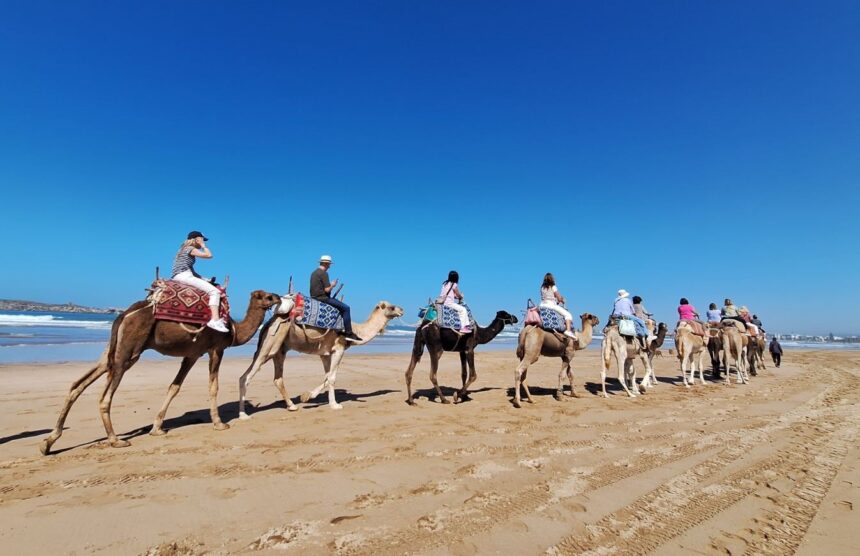 Το Πυργούσικο καραβάνι στο Μαρόκο - Εξωτικό ταξίδι στα όρια Δύσης και Ανατολής 2 Το Πυργούσικο καραβάνι στο Μαρόκο - Εξωτικό ταξίδι στα όρια Δύσης και Ανατολής 1