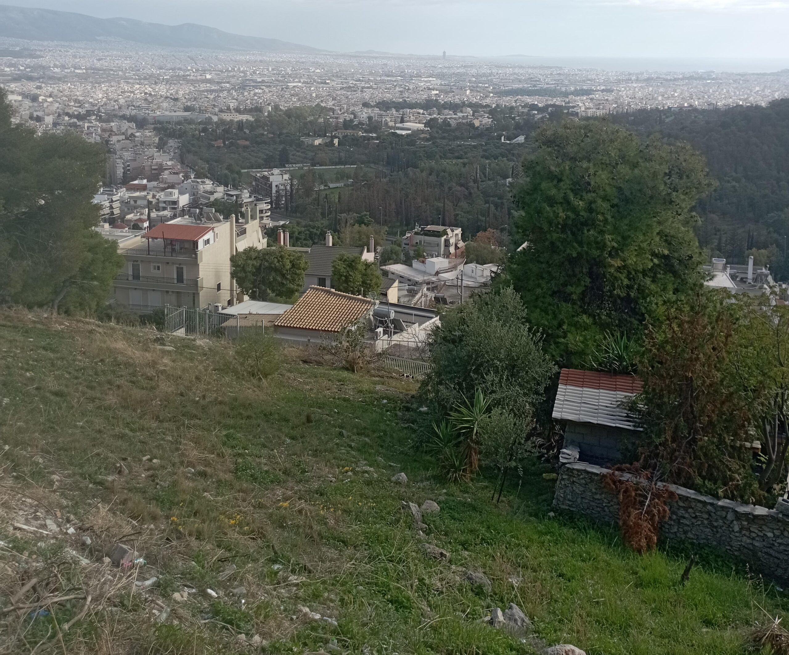 Επιτρέπεται η διατήρηση οικόσιτων ζώων στους Δήμους του Λεκανοπεδίου της Αθήνας; 8 Επιτρέπεται η διατήρηση οικόσιτων ζώων στους Δήμους του Λεκανοπεδίου της Αθήνας; 7