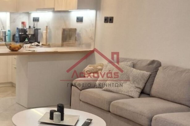 Ενοικιάζεται διαμέρισμα 50 τμ. στο Δάσος Χαϊδαρίου 103