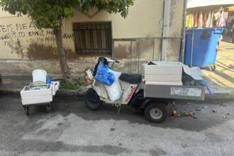 Κατασχέθηκαν πάνω από 150 κιλά ψάρια σε λαϊκές αγορές 34
