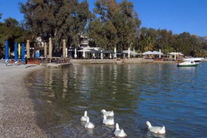 Άνοιξε ο δρόμος για γενναία ανάπλαση του παραλιακού μετώπου στο Μεγάλο Πεύκο 27