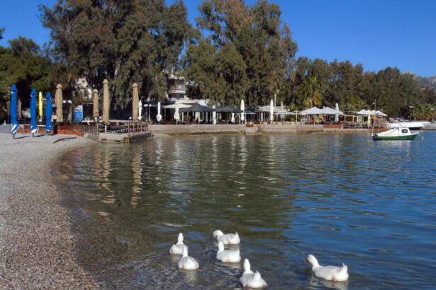 Άνοιξε ο δρόμος για γενναία ανάπλαση του παραλιακού μετώπου στο Μεγάλο Πεύκο 131