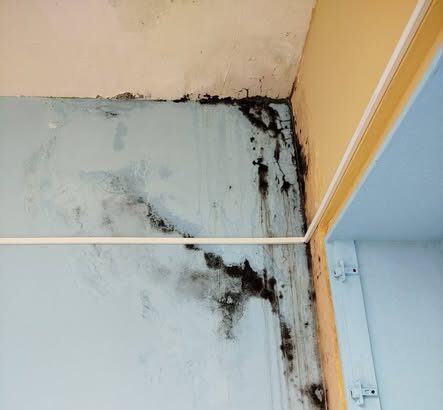 Εικόνες Χαϊδαρίου... Παιδαγωγική μούχλα και μιζέρια 27