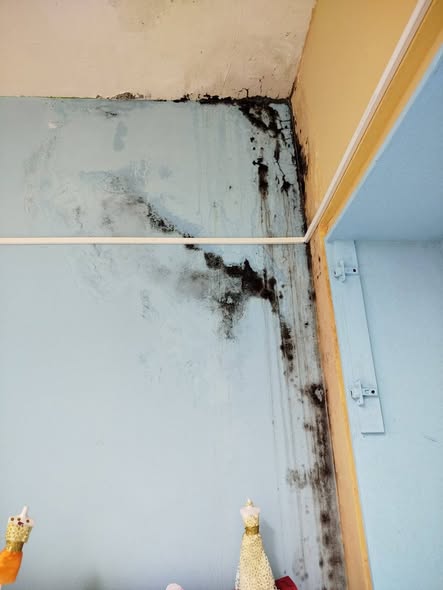 Εικόνες Χαϊδαρίου... Παιδαγωγική μούχλα και μιζέρια 1