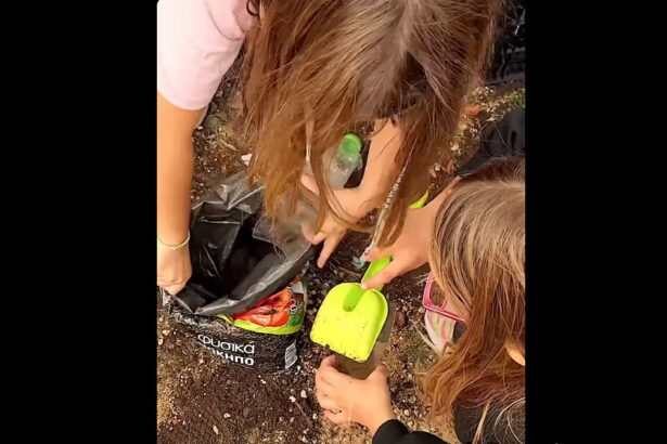 Οι μαθητές Δημοτικού Σχολείου του Χαϊδαρίου μεγαλώνουν το δικό τους δάσος! - Βίντεο 137