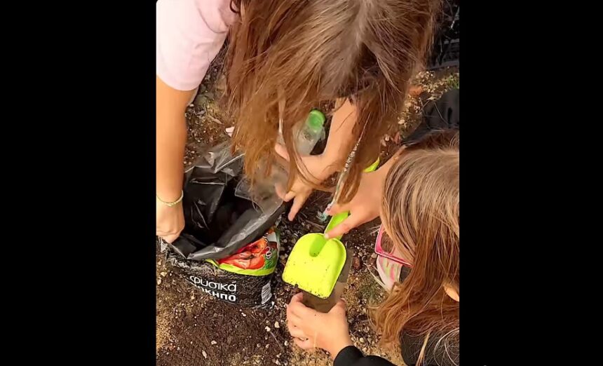 Οι μαθητές Δημοτικού Σχολείου του Χαϊδαρίου μεγαλώνουν το δικό τους δάσος! - Βίντεο 1