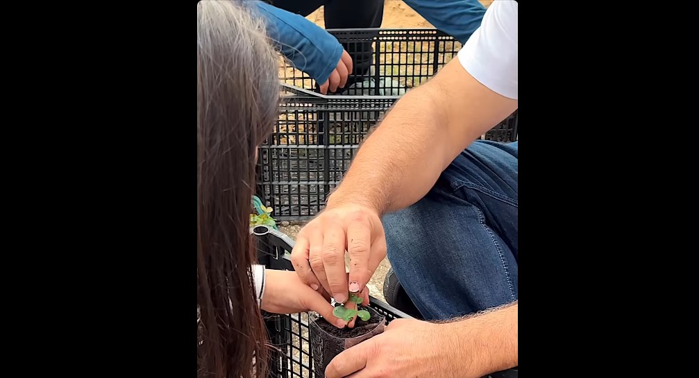 Οι μαθητές Δημοτικού Σχολείου του Χαϊδαρίου μεγαλώνουν το δικό τους δάσος! - Βίντεο 3 μαθητές