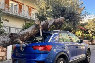 Χαϊδάρι: Πτώση κορμού σε ΙΧ 45