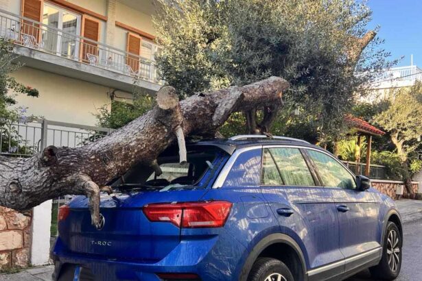 Χαϊδάρι: Πτώση κορμού σε ΙΧ 51