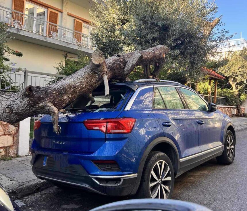 Χαϊδάρι: Πτώση κορμού σε ΙΧ 1
