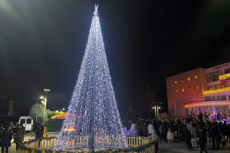 Ο Δήμος Χαϊδαρίου φωταγωγεί το Χριστουγεννιάτικο Δέντρο 33