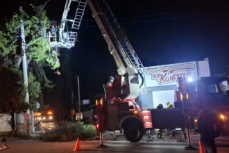 Χαϊδάρι: Έπεσε πεύκο σε καλώδια ηλεκτροδότησης 37