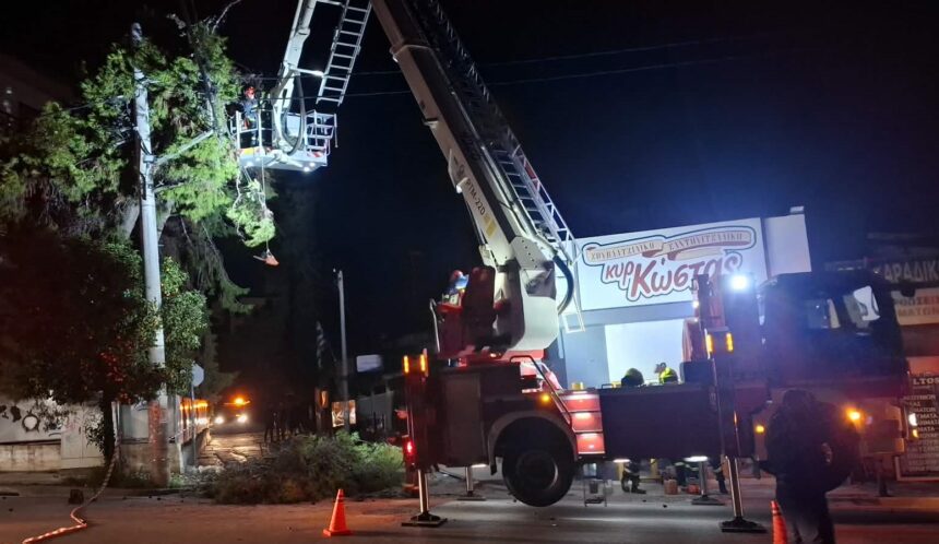 Χαϊδάρι: Έπεσε πεύκο σε καλώδια ηλεκτροδότησης 1
