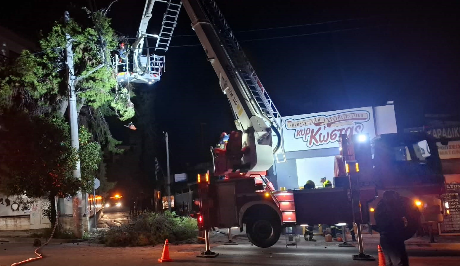 Χαϊδάρι: Έπεσε πεύκο σε καλώδια ηλεκτροδότησης 3