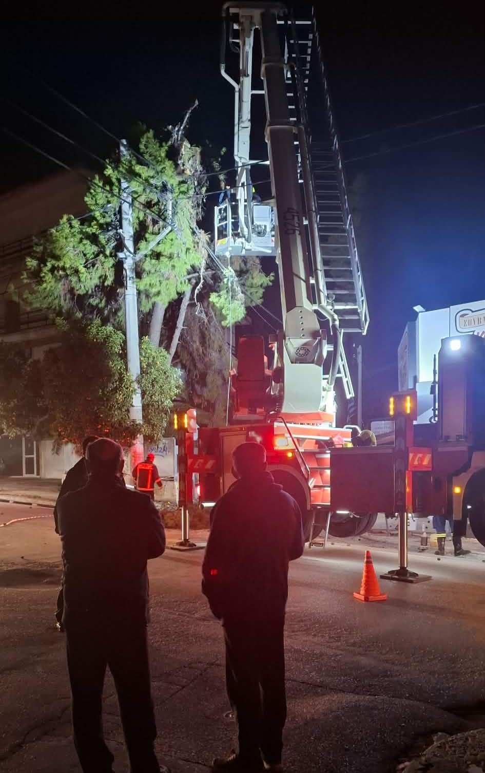 Χαϊδάρι: Έπεσε πεύκο σε καλώδια ηλεκτροδότησης 3