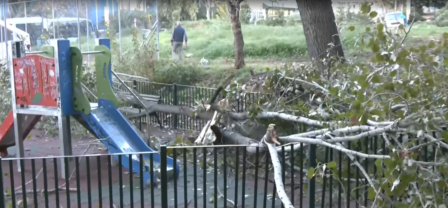 Μεγάλη λεύκα έπεσε στην παιδική χαρά της Ιεράς Οδού, ενώ έπαιζε παιδάκι 3