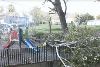 Μεγάλη λεύκα έπεσε στην παιδική χαρά της Ιεράς Οδού, ενώ έπαιζε παιδάκι 19