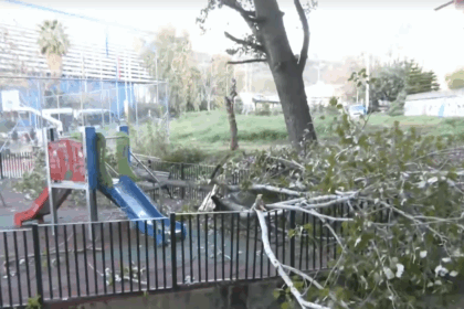 Μεγάλη λεύκα έπεσε στην παιδική χαρά της Ιεράς Οδού, ενώ έπαιζε παιδάκι 10