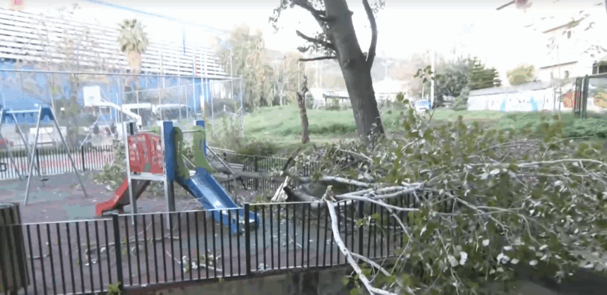 Μεγάλη λεύκα έπεσε στην παιδική χαρά της Ιεράς Οδού, ενώ έπαιζε παιδάκι 1
