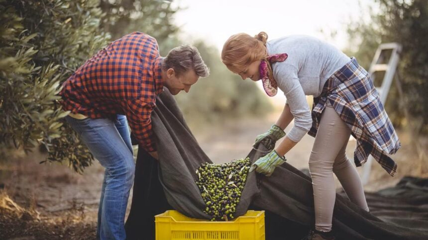 "Οι αγρότες είναι στα μπλόκα για τις επιδοτήσεις και δεν έχουν αιτήματα" - Αληθεύει; 1