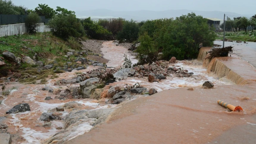 Ν. Μπελαβίλας για τη Μάνδρα: Αν δεν κατεδαφιστούν σπίτια, αποθήκες, σούπερ μάρκετ... 1
